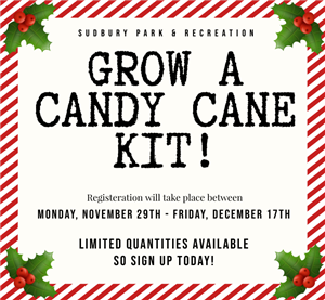 Grow a Candy Cane Kit 2021