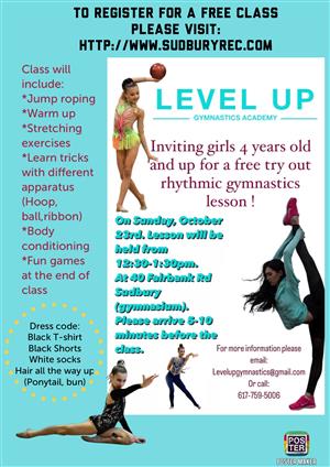 Level Up Gymnastics