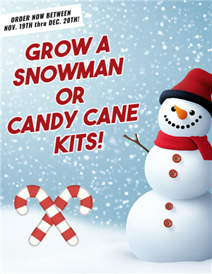 Grow a Snowman or Candy Cane Kit