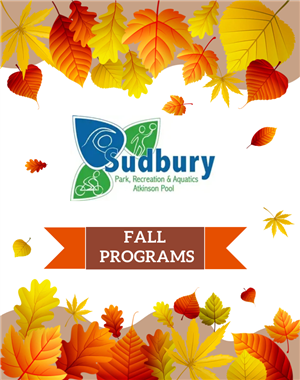 Online Fall Programming Brochure