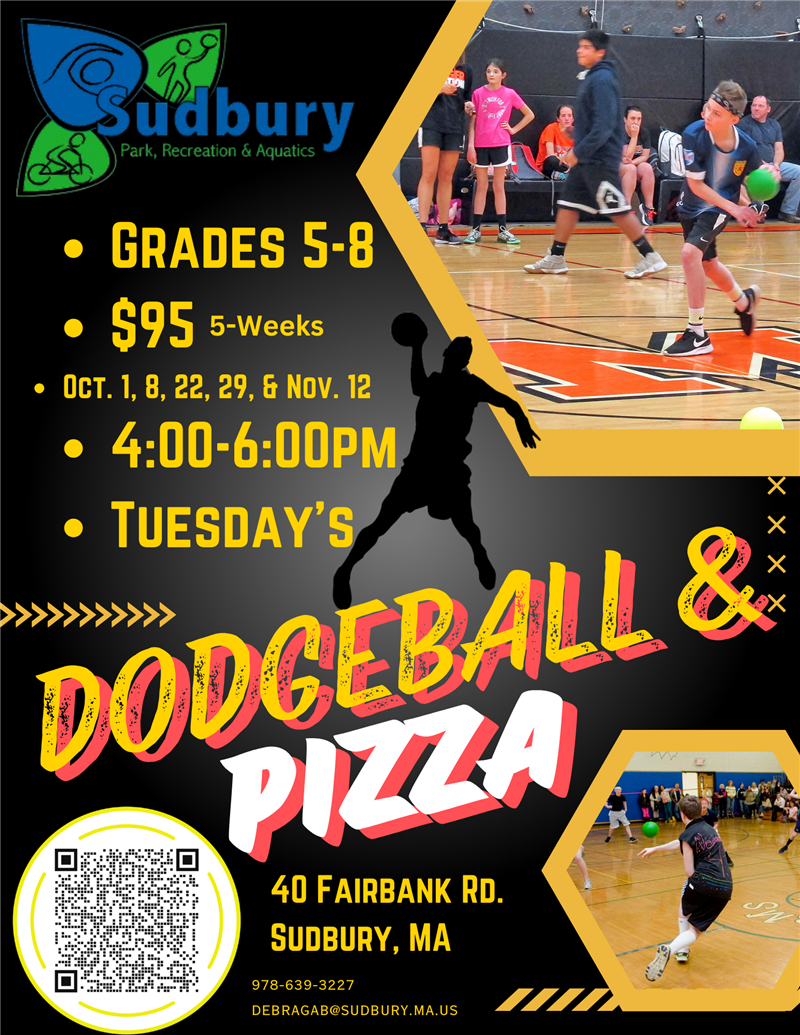 Dodgeball & Pizza